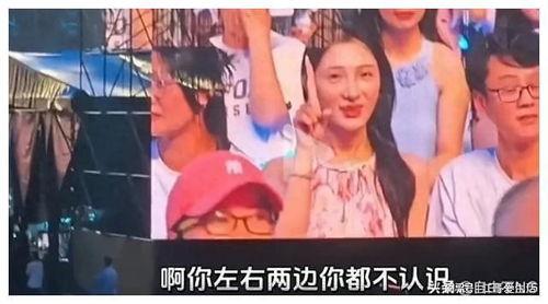金子吃瓜小说结局,揭秘小说结局背后的惊人真相
