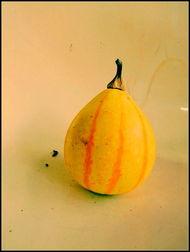 徐州新沂吃瓜事件,一场网络热议背后的真相揭秘