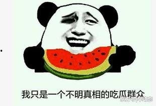 吃瓜事件微信,揭秘网络舆论背后的真相与反思