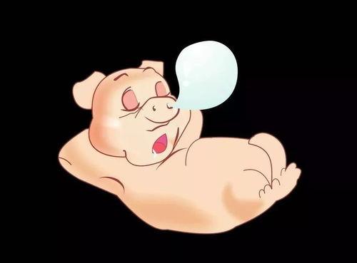 小胖在哪儿吃瓜,探寻美食与欢乐的奥秘