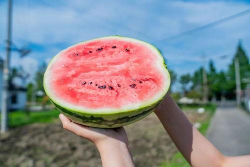 打卡吃瓜地,揭秘娱乐圈幕后风云