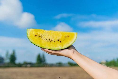 打卡吃瓜地,揭秘娱乐圈幕后风云