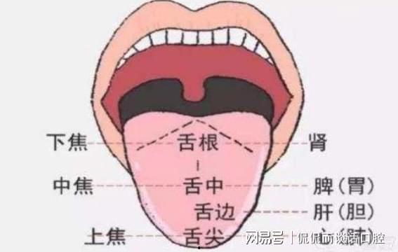 吃网纹瓜舌头痛,揭秘夏日消暑美食背后的健康隐患