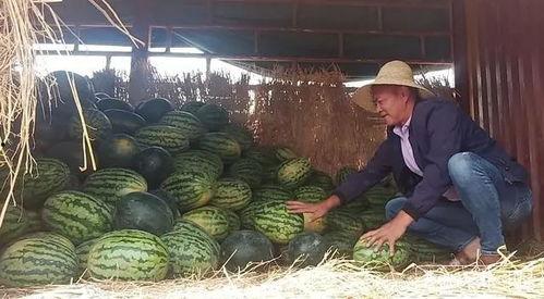 吃瓜群众李大瓜,揭秘娱乐圈那些不为人知的幕后故事