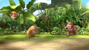 熊熊的决心吃瓜,挑战吃瓜极限，见证毅力与勇气