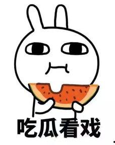 什么是亚马逊吃瓜,揭秘电商巨头背后的“吃瓜”故事