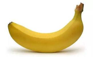 婴儿可以吃黄蜜瓜,黄蜜瓜的适宜引入与营养益处