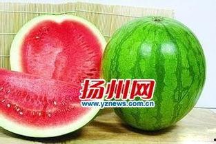 九灵吃瓜,揭秘娱乐圈背后的秘密与八卦