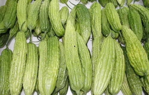 西园吃瓜视频,揭秘网红美食背后的故事