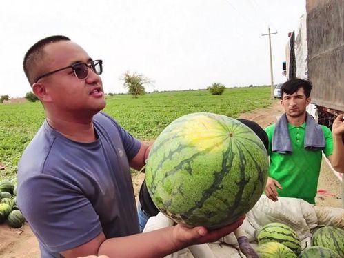 德宏吃瓜新闻事件,一场网络舆论的风暴与反思