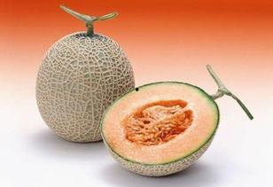 吃哈密瓜后可以吃螃蟹吗,饮食搭配指南