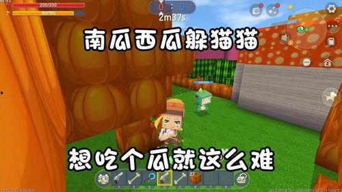 吃瓜世界2,揭秘娱乐圈背后的秘密与真相