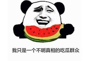 吃瓜大王的意思,吃瓜大王的独家爆料与幕后真相