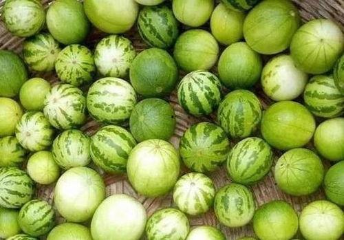 瓜吃没,探寻夏日消暑美食之旅