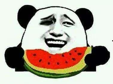 狸吃瓜,趣味横生一幕