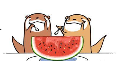 吃瓜吃到易经,揭秘易经智慧