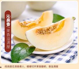 黄金蜜瓜直接吃吗