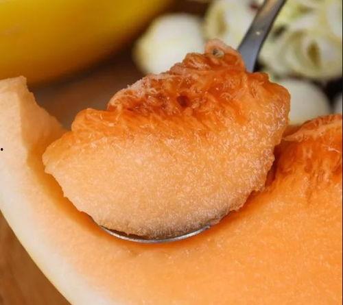 黄金蜜瓜直接吃吗