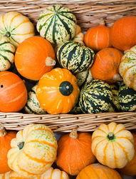 吃瓜护体,揭秘娱乐圈背后的真相与温情