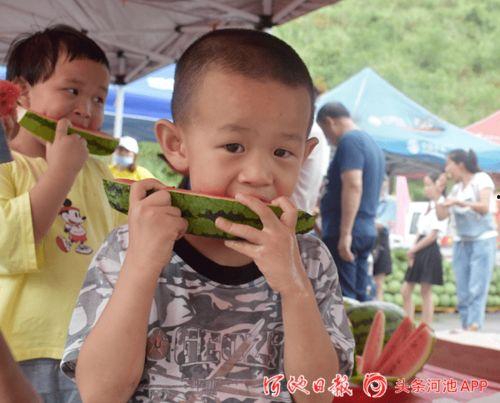 上朝吃瓜28,揭秘28位朝臣的瓜田轶事