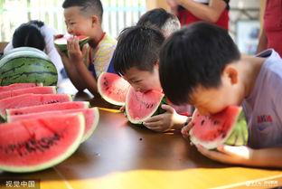 5月吃瓜大赛,年度吃瓜大赛精彩回顾