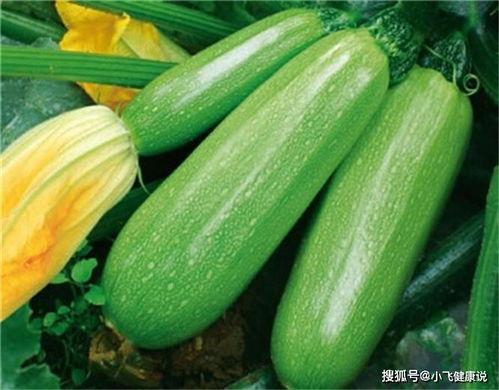 吃茭瓜补什么,吃出健康，补益全身