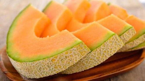 北方吃哈密瓜,探寻北方食客的夏日美味