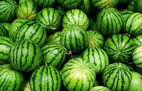 吃甘肃栏瓜对身体,甘肃栏瓜的营养益处与身体健康的完美融合