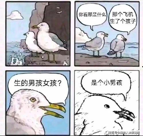 大能的吃瓜日记是什么梗,揭秘娱乐圈幕后风云