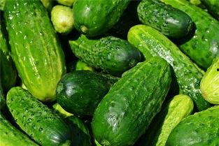 梦见吃小瓜好吗,梦见吃小瓜预示着什么？