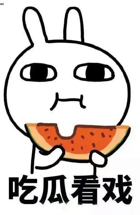 瓜是吃的英语,Exploring the Versatile World of Melons: A Culinary Journey