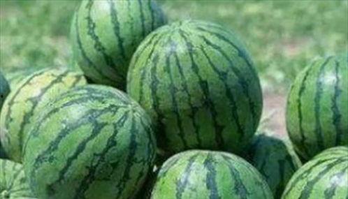 鹤祥宫吃瓜,宫廷秘闻大揭秘