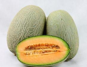 饿肚吃哈密瓜,夏日解馋新选择