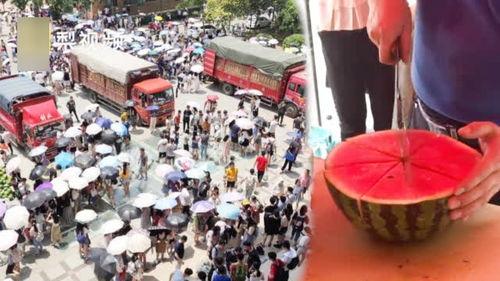 大货车吃瓜视频,揭秘货车司机的生活趣事