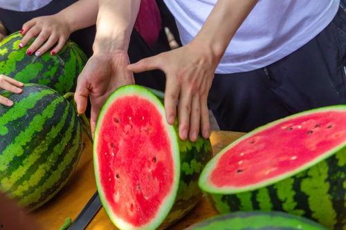 大学座椅吃瓜,一场场校园“吃瓜”大戏