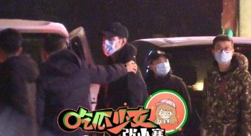 最全吃瓜图王凯,吃瓜图王，娱乐圈的“瓜王”传奇