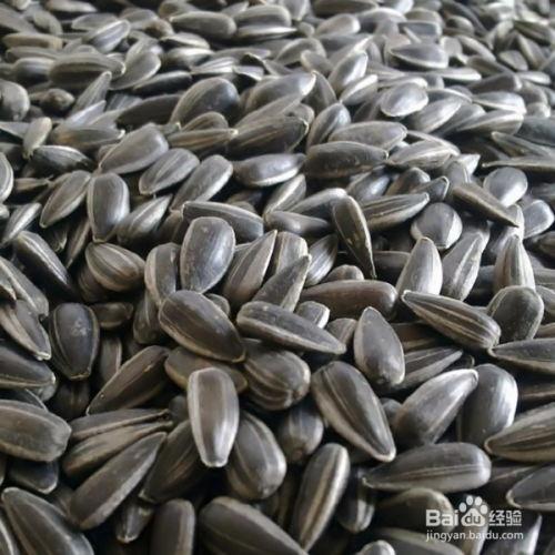 抓把瓜子吃瓜,吃出生活百味