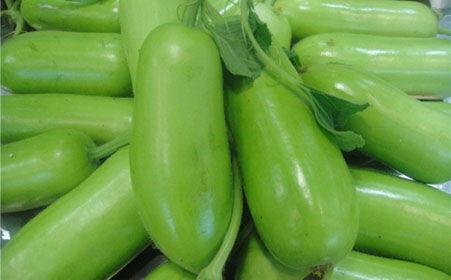 老外吃蒲瓜,老外品尝蒲瓜的独特体验