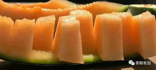 吃瓜 七律,品味人间烟火，笑谈世间百态