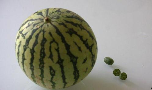 吃瓜 七律,品味人间烟火，笑谈世间百态