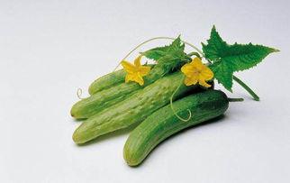 小瓜配什么吃,开启味蕾盛宴之旅