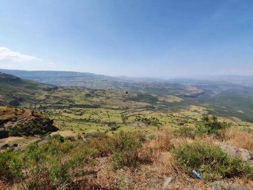 吃燕山停车瓜,品味夏日清新，邂逅舌尖上的燕山
