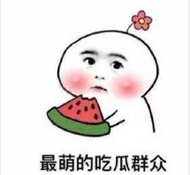 吃瓜群众玉小京,揭秘吃瓜群众的趣味生活