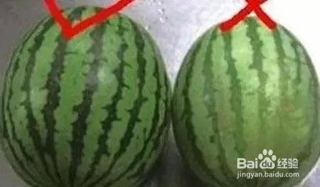 如何判断吃瓜,如何准确判断吃瓜热点