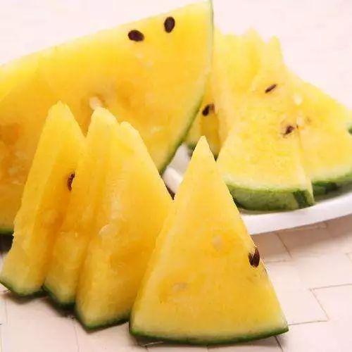 新生之地吃瓜,揭秘吃瓜背后的故事与秘密