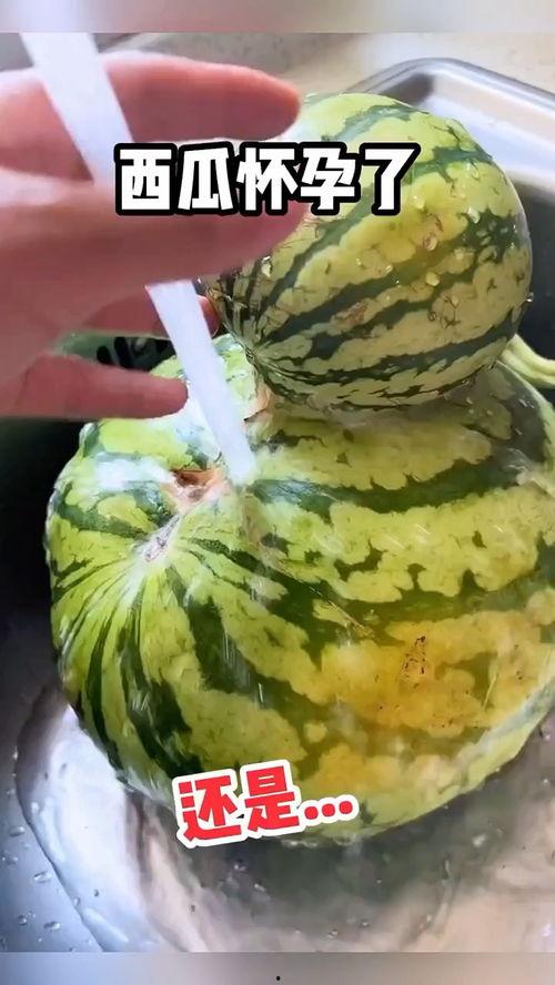 搞笑视频瓜哥带你吃瓜