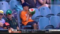 看台的吃瓜群众,揭秘吃瓜群众的欢乐盛宴