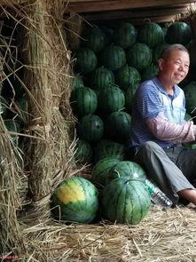 司氏砸缸吃瓜,一场别开生面的夏日狂欢