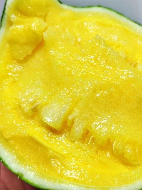 小凤瓜要怎么吃,解锁美味新体验