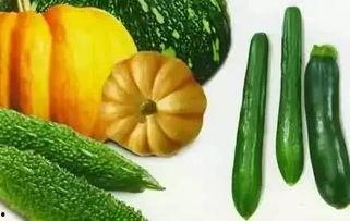 夏吃瓜秋吃果文案,夏享瓜果，秋品硕果